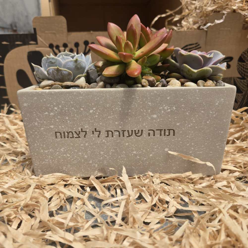 Urban planter - Image 3